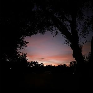 Meet your Posher, Jo